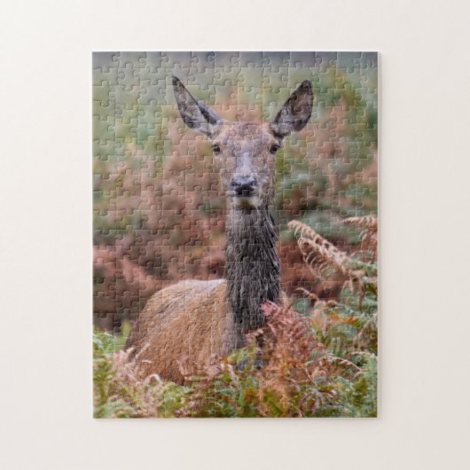 Sprichst du mit mir? - 11 x 14 - 252 Stück Puzzle (Vertikal)