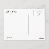 "Sprichst du mit mir?" Papagei, Postkarte (Rückseite)