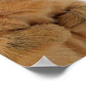 Sprichst du mit mir? poster (Ecke)