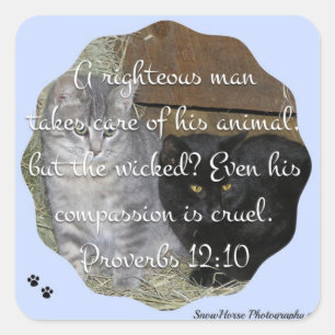 Sprichwort-12:10 Quadratischer Aufkleber