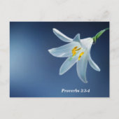 Sprichwort 3: 3-4 Liebe und Treue fördern Postkarte (Rückseite)