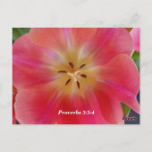 Sprichwort 3: 3-4 Liebe und Treue Postkarte (Rückseite)