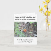 Sprichwort-3:5 - 6 karte (Gelbe Blume)