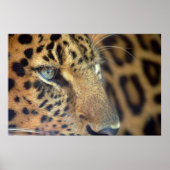 Sprichwort Auf Wiedersehen... Poster (Vorne)