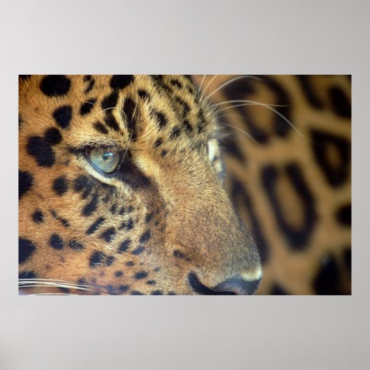 Sprichwort Auf Wiedersehen... Poster (Vorne)