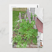 Sprichwort Hi von Wisconsin Postkarte (Vorne/Hinten)