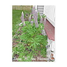 Sprichwort Hi von Wisconsin