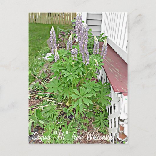 Sprichwort Hi von Wisconsin Postkarte (Vorderseite)