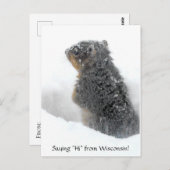 Sprichwort Hi von Wisconsin Snowy Eichhörnchen Postkarte (Vorne/Hinten)