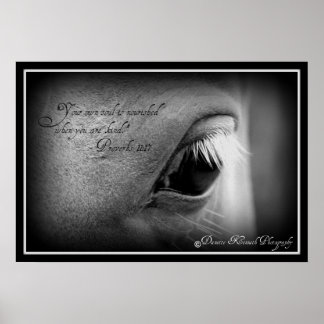 Sprichwörter 11:17 poster