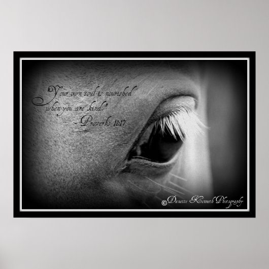 Sprichwörter 11:17 poster (Vorne)