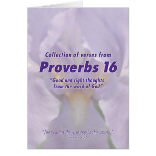 Sprichwörter 16 Verse