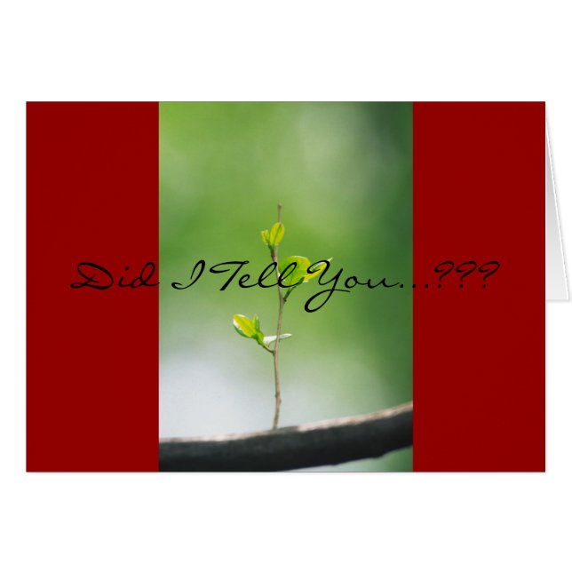 Sprichwörter 18:21 - Liebe (Vorderseite (Horizontal))