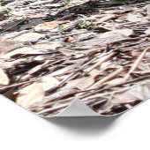 Sprichwörter 18:21 Schrift drucken Poster (Ecke)