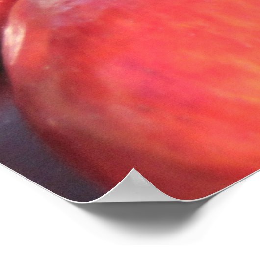 Sprichwörter 25:11 Ein Wort, passend gesprochen, i Poster (Ecke)