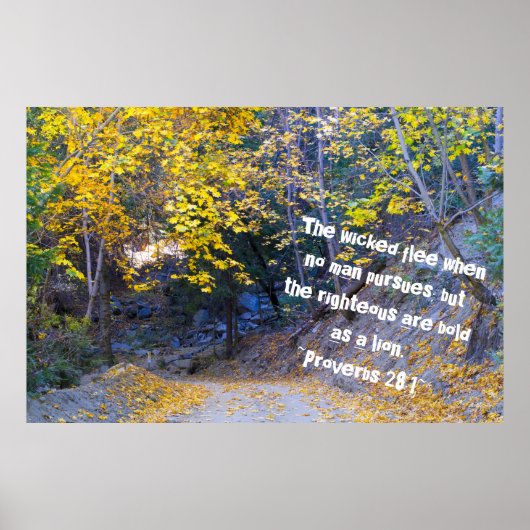 Sprichwörter 28:1 poster (Vorne)