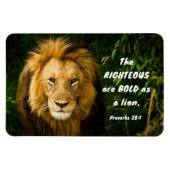 Sprichwörter 28:1 Rechtschaffene sind kühl wie ein Magnet (Horizontal)