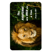 Sprichwörter 28:1 Rechtschaffene sind kühl wie ein Magnet (Vertikal)