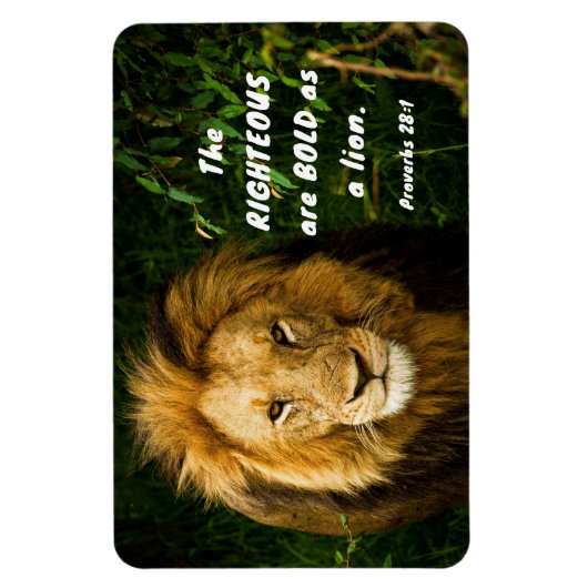 Sprichwörter 28:1 Rechtschaffene sind kühl wie ein Magnet (Vertikal)