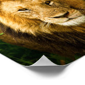 Sprichwörter 28:1 Rechtschaffene sind kühl wie ein Poster (Ecke)