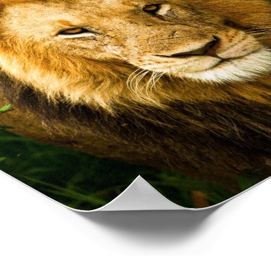 Sprichwörter 28:1 Rechtschaffene sind kühl wie ein Poster (Ecke)