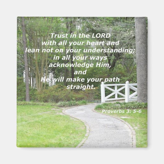 Sprichwörter 3: 5-6 magnet (Vorne)