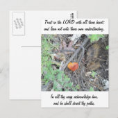 Sprichwörter 3:5-6 postkarte (Vorne/Hinten)