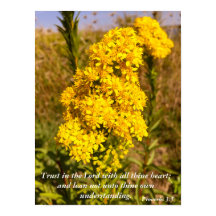 Sprichwörter 3:5 Bibelverse Poster