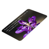 Sprichwörter 4:23 magnet (Linke Seite)