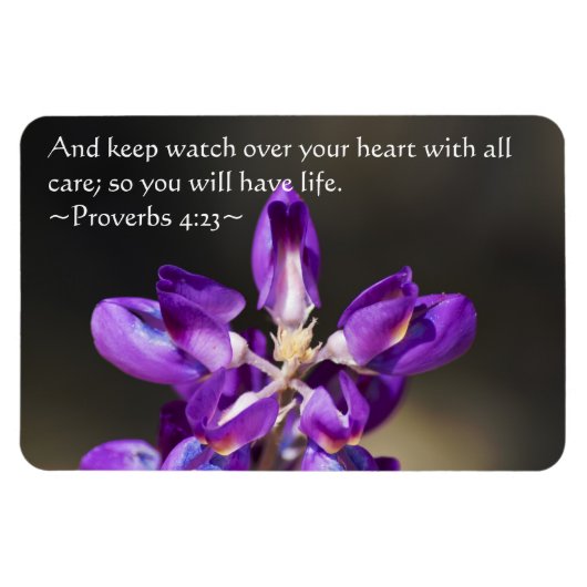 Sprichwörter 4:23 magnet (Horizontal)