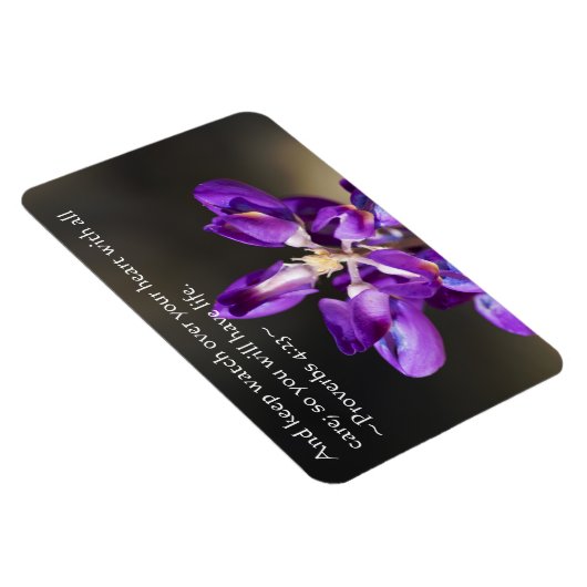 Sprichwörter 4:23 magnet (Rechte Seite)