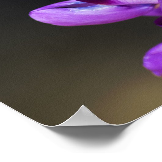 Sprichwörter 4:23 poster (Ecke)