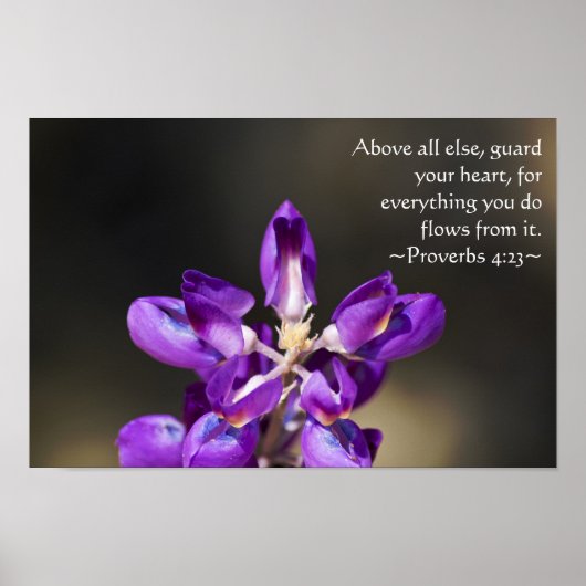 Sprichwörter 4:23 poster (Vorne)