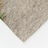 Sprichwörter 4:26 fleecedecke (Ecke)