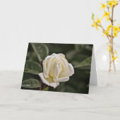 Sprichwörter der White Rose Scripture Card 3 Karte (Gelbe Blume)