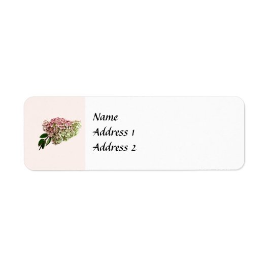 Sprig von Hochzeitsprodukten von Hydrangea (Vorne)