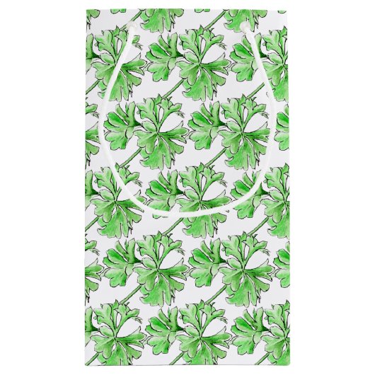 Sprig von Petersilie Kräuterkunst Kleine Geschenktüte (Rückseite)