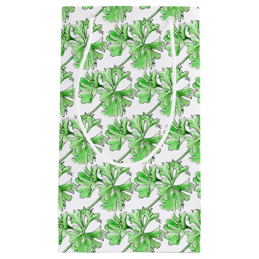 Sprig von Petersilie Kräuterkunst Kleine Geschenktüte (Vorderseite)