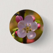 Spring Apple Blossom Button (Vorderseite)