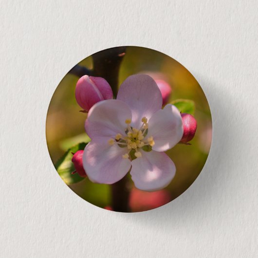 Spring Apple Blossom Button (Vorderseite)