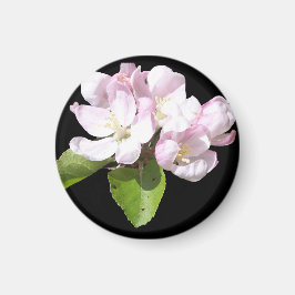 Spring Apple Blossom Kühlschrankmagnet Round