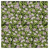 Spring Apple Blossom Print Poplin Fabric Stoff (Muster)