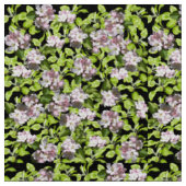 Spring Apple Blossom Print Poplin Fabric Stoff (Nahaufnahme)