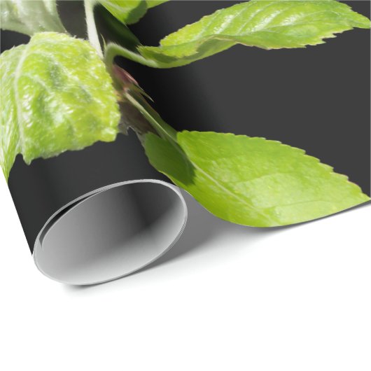 Spring Apple Blossom Wrapping Paper Matte Geschenkpapier (Rolleneckpunkt)