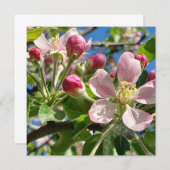 Spring Apple Blossoms (Vorne/Hinten)