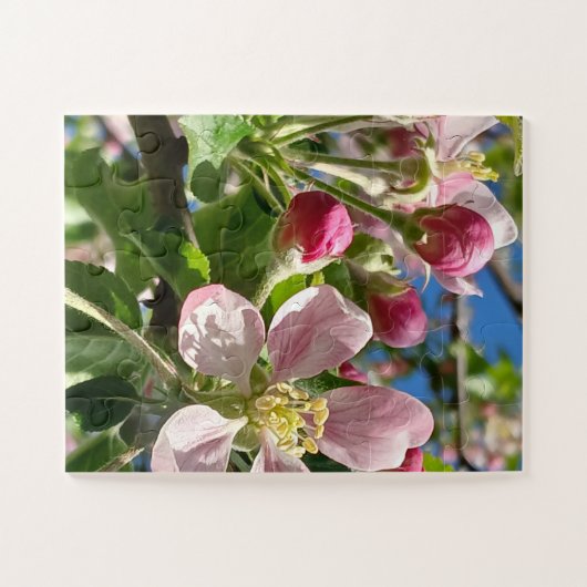 Spring Apple Blossoms Puzzle (Horizontal)