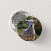 Spring Baby Lamb Button / Abzeichen (Vorne & Hinten)