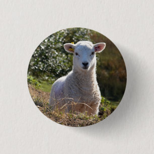 Spring Baby Lamb Button / Abzeichen