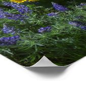 Spring Balsam Superbloom Poster (Ecke)