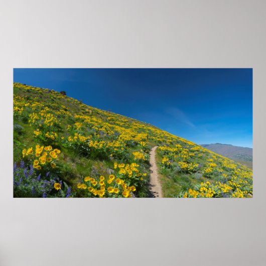 Spring Balsam Superbloom Poster (Vorne)